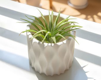 Golvende 3D-geprinte bloempot | Moderne geribbelde plantenbak 2,4–3 inch | Minimalistisch bureaudecor | Luchtplantpot