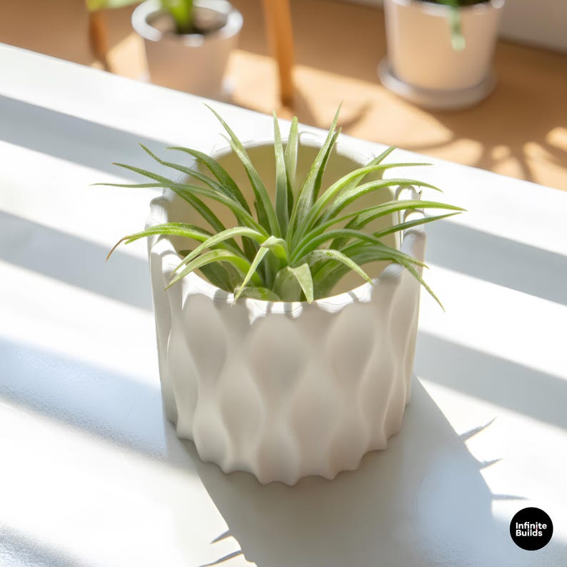May include: A white, textured ceramic planter with a geometric design, holding a green plant with long, slender leaves. The planter sits on a white surface, with sunlight casting shadows. The logo "Infinite Builds" is in the bottom right corner.