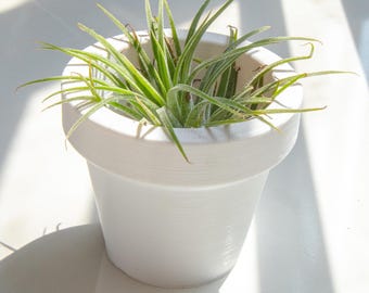Mini Terracotta Style Pot 3D Printed | Small Round Planter for Air Plants | Succulents | Minimal Home Decor