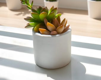 Minimale cilinderplantpot 3D-geprint | Kleine ronde vetplant | Moderne plantenbak voor luchtplanten | Bureaudecoratie | 2,4–3 inch