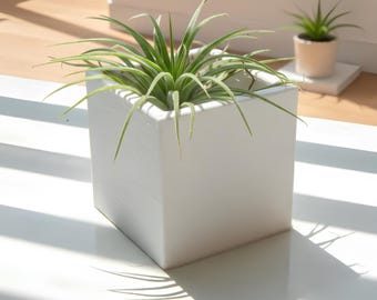 Quadratischer 3D gedruckter Blumentopf | Minimaler quadratischer Blumentopf 6-7 cm | Moderne Schreibtisch Dekoration | Luftpflanzentopf