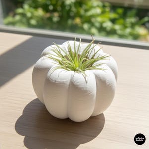 May include: A white, pumpkin-shaped planter with a green air plant. The planter has a textured surface and is sitting on a light-colored wooden surface. The air plant has long, thin green leaves. The planter is a decorative item for home decor.