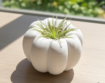 3D Printed Pumpkin Plant Pot Mini | Cute Air Plant Holder | Minimal Desk Decor | Small Succulent Planter | Cozy Home Gift