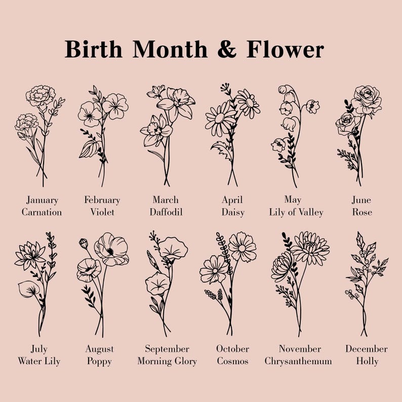 Pode incluir: Gr&aacute;fico bege com doze ilustra&ccedil;&otilde;es florais, cada uma representando um m&ecirc;s de nascimento e uma flor. O texto "Birth Month & Flower" est&aacute; no topo. Cada flor &eacute; rotulada com seu m&ecirc;s e nome, como "Janeiro Cravo."