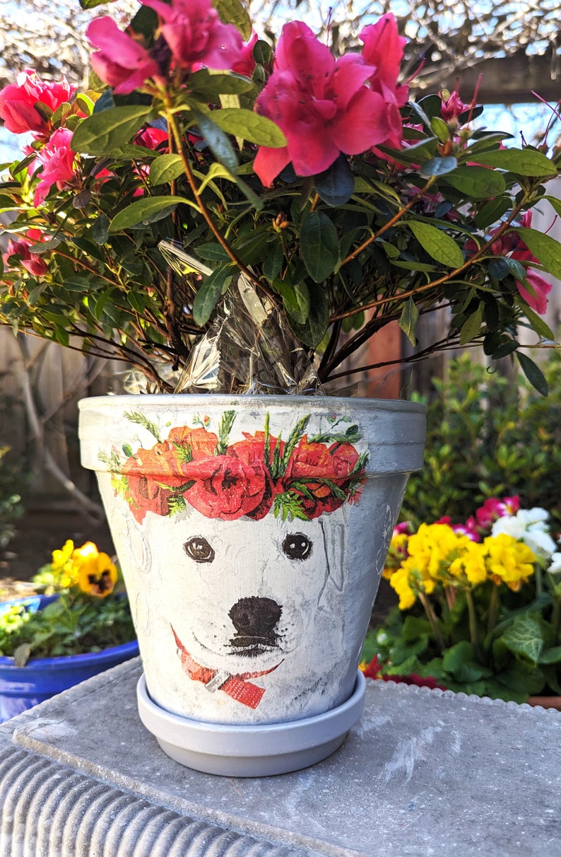 Alice in Wonderland Planter: Handmade Clay Plant Pot, Garden Decor (8") bild 6