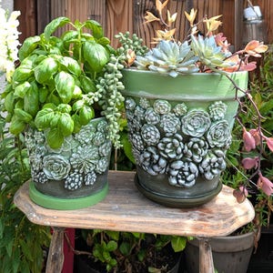 Op de afbeelding: Twee groene keramische bloempotten met succulentenontwerpen. E&eacute;n pot bevat basilicum, de andere vetplanten. De potten staan op een kleine houten tafel. De potten zijn groen geschilderd en hebben een gestructureerd, verhoogd vetplantenontwerp.