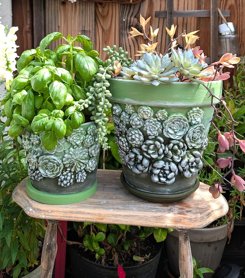 Op de afbeelding: Twee groene keramische bloempotten met succulentenontwerpen. E&eacute;n pot bevat basilicum, de andere vetplanten. De potten staan op een kleine houten tafel. De potten zijn groen geschilderd en hebben een gestructureerd, verhoogd vetplantenontwerp.