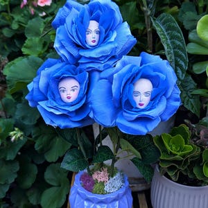 Alice in Wonderland Talking Flowers: Hand-Painted Clay Faces in Concrete Pots