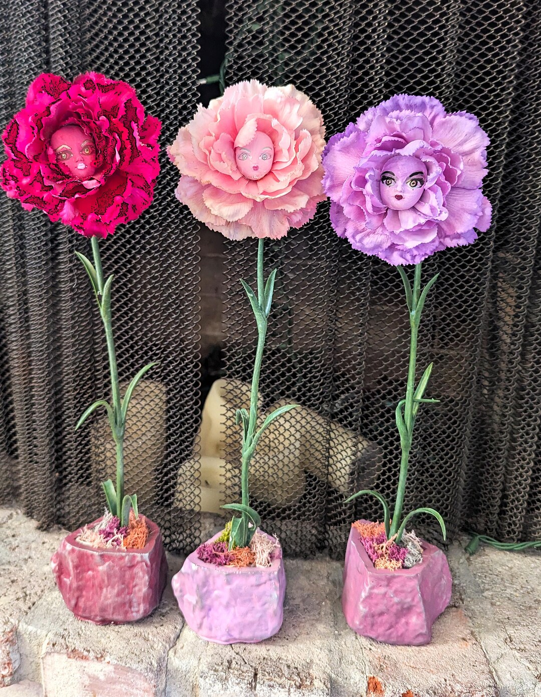 【プレミア】cordelia(花たん)『CHERS PETITS CHATS』 Cercis - Alley Cat Eastern Redbud - Sugar Creek Gardens Sugar