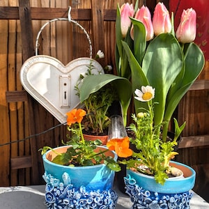 Pu&ograve; includere: Due vasi di fiori in ceramica blu e bianca con un design testurizzato che ricorda le conchiglie. I vasi sono pieni di piante verdi e fiori arancioni. I vasi sono su un tavolo bianco con uno sfondo in legno.