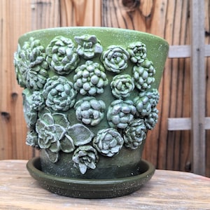 Op de afbeelding: Een groene keramische bloempot met bijpassende schotel. De pot is versierd met verhoogde, getextureerde succulentenontwerpen in groen- en zilvertinten. De pot staat op een houten oppervlak.