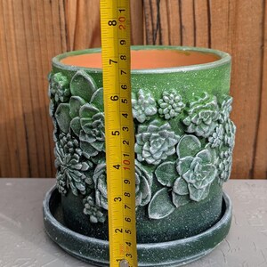 May include: Green ceramic plant pot with raised succulent designs. The pot is approximately 7 inches tall and 6 inches in diameter, with a matching saucer. The pot has a textured, speckled finish.