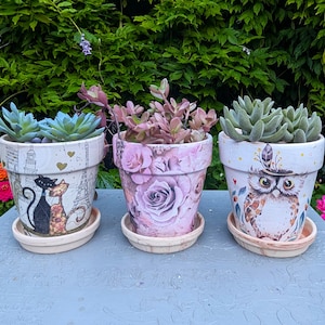 May include: Three decorative flower pots with succulents. The pots are white with different designs: a cat couple in front of the Eiffel Tower, a rose pattern, and an owl with a feathered headdress. Each pot sits on a matching saucer.
