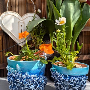 Pu&ograve; includere: Due vasi di fiori in ceramica blu e bianca con un design testurizzato in 3D. I vasi sono pieni di piante, tra cui fiori arancioni e una margherita bianca.