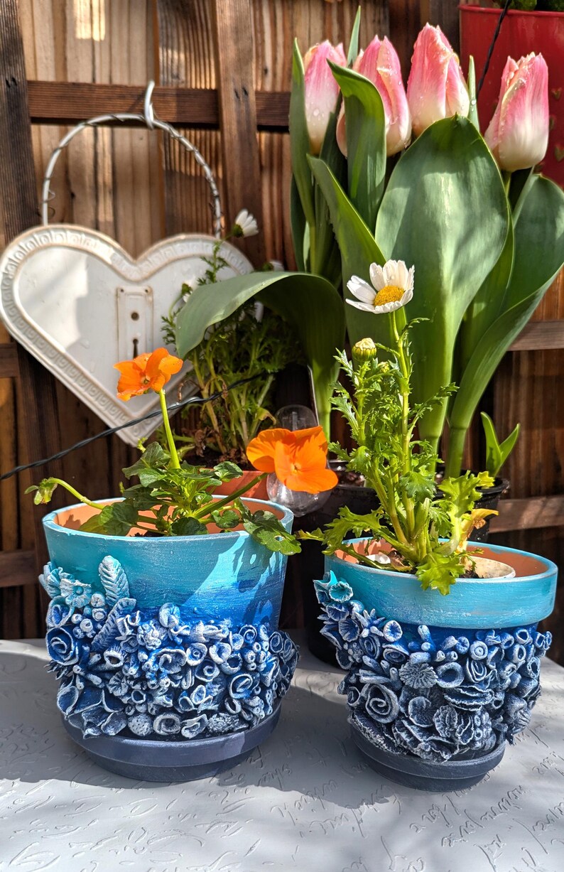 Pu&ograve; includere: Due vasi di fiori in ceramica blu e bianca con un design testurizzato in 3D. I vasi sono pieni di piante, tra cui fiori arancioni e una margherita bianca.