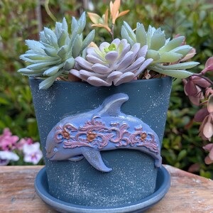 May include: A blue ceramic planter with a dolphin design and matching saucer, filled with succulents. The dolphin is light blue with ornate, reddish-brown accents. The planter sits on a wooden surface, with greenery in the background.