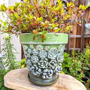 Op de afbeelding: Een groene keramische bloempot met een gedetailleerd vetplantontwerp, gevuld met een levendige plant met groene en rode bladeren. De pot staat op een houten krukje en toont een thema van de tuin.