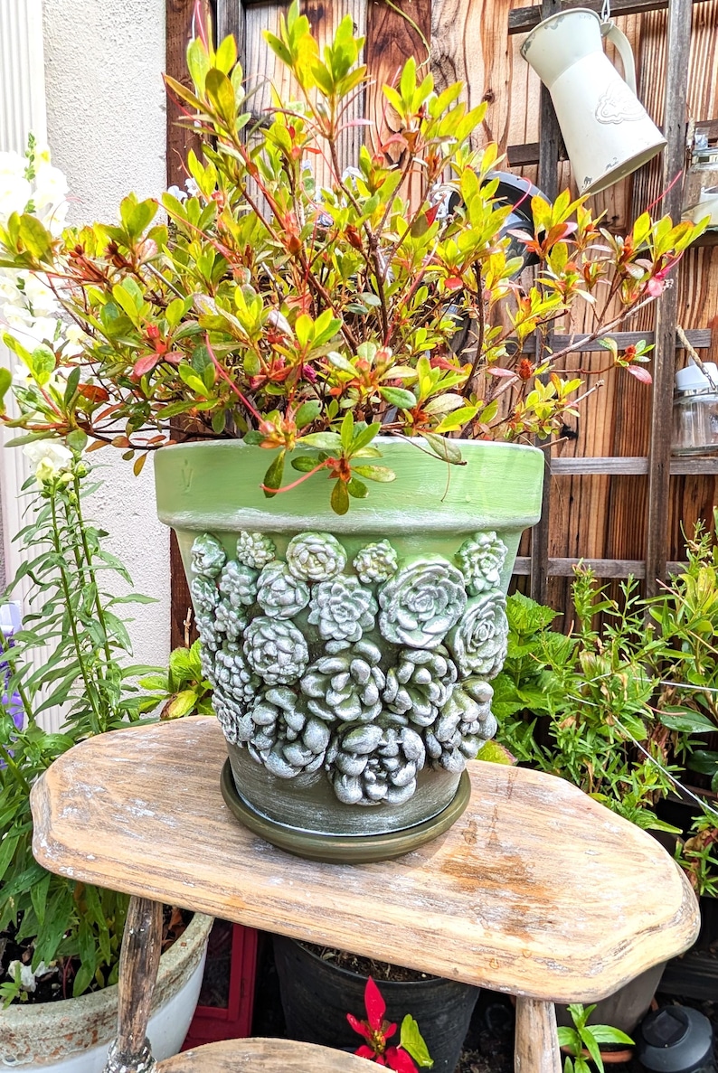 Op de afbeelding: Een groene keramische bloempot met een gedetailleerd vetplantontwerp, gevuld met een levendige plant met groene en rode bladeren. De pot staat op een houten krukje en toont een thema van de tuin.