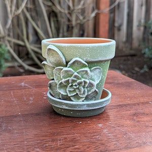 Op de afbeelding: Een kleine, groene keramische bloempot met een bijpassende schotel. De pot heeft een verhoogd vetplantontwerp en een gespikkelde afwerking. De binnenkant is terracotta van kleur. De pot staat op een houten oppervlak.