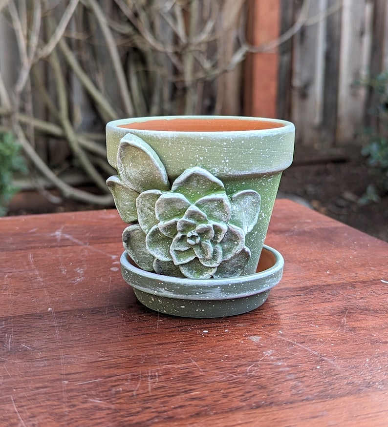 Op de afbeelding: Een kleine, groene keramische bloempot met een bijpassende schotel. De pot heeft een verhoogd vetplantontwerp en een gespikkelde afwerking. De binnenkant is terracotta van kleur. De pot staat op een houten oppervlak.