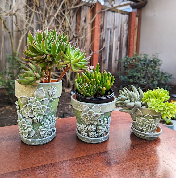 Handmade Floral Ceramic Succulent Pot: Unique Garden Planter