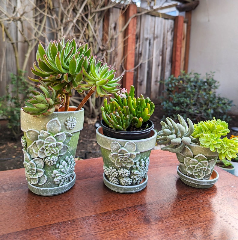 Op de afbeelding: Drie decoratieve groene succulentenpotten met gedetailleerd bloemenreli&euml;f. De potten zijn gevuld met verschillende succulenten, met een scala aan texturen en kleuren. De potten staan op een houten oppervlak, met een vage buitenachtergrond.