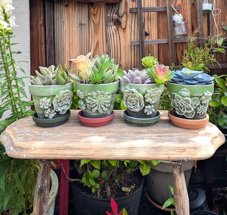 Op de afbeelding: Vier groene keramische potten met vetplanten. Elke pot heeft een andere vetplantensoort en een verhoogd bloemmotief. De potten staan op bijpassende schotels, gerangschikt op een verweerde houten bank.