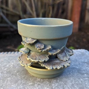 May include: A small, sage green ceramic flower pot with a gold rim and base. The pot is adorned with bronze-colored, sculpted mushroom clusters. The pot is designed for indoor or outdoor use.