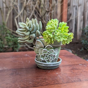 Handmade Floral Ceramic Succulent Pot: Unique Garden Planter image 7