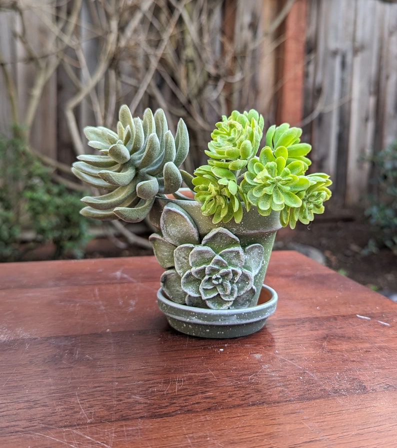 Handmade Floral Ceramic Succulent Pot: Unique Garden Planter image 7