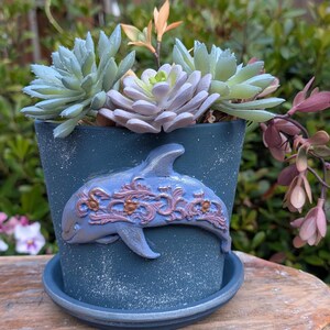 May include: A blue ceramic flower pot with a dolphin design, filled with succulents. The dolphin is light blue with a decorative floral pattern. The pot has a matching saucer and is placed outdoors.