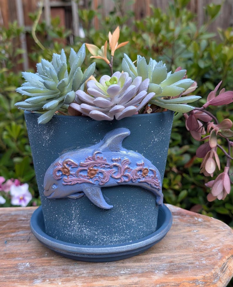 May include: A blue ceramic flower pot with a dolphin design, filled with succulents. The dolphin is light blue with a decorative floral pattern. The pot has a matching saucer and is placed outdoors.