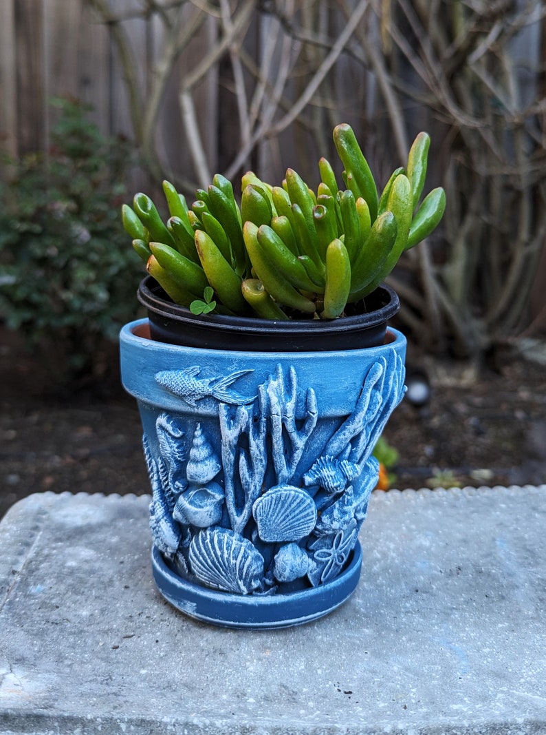 May include: A blue ceramic plant pot with a detailed underwater scene featuring fish, seashells, and coral. The pot holds a green succulent plant with thick, finger-like leaves. The pot is sitting on a concrete surface.