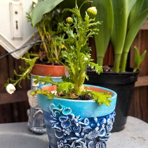 Pu&ograve; includere: Una margherita bianca con un centro giallo in un vaso di ceramica blu e bianco con un design decorativo. Il vaso &egrave; su una superficie bianca.