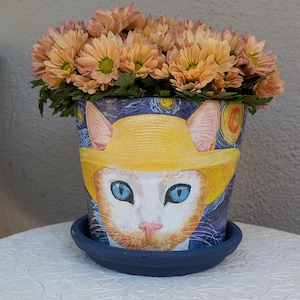 May include: A decorative flower pot featuring a cat face wearing a yellow hat, set against a starry night sky design. The pot is filled with peach-colored flowers and sits on a blue saucer.