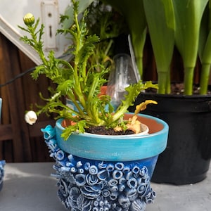 Pu&ograve; includere: Un fiore bianco con foglie verdi che cresce in un vaso di ceramica blu e bianco con un design testurizzato. Il vaso &egrave; decorato con conchiglie blu e bianche.