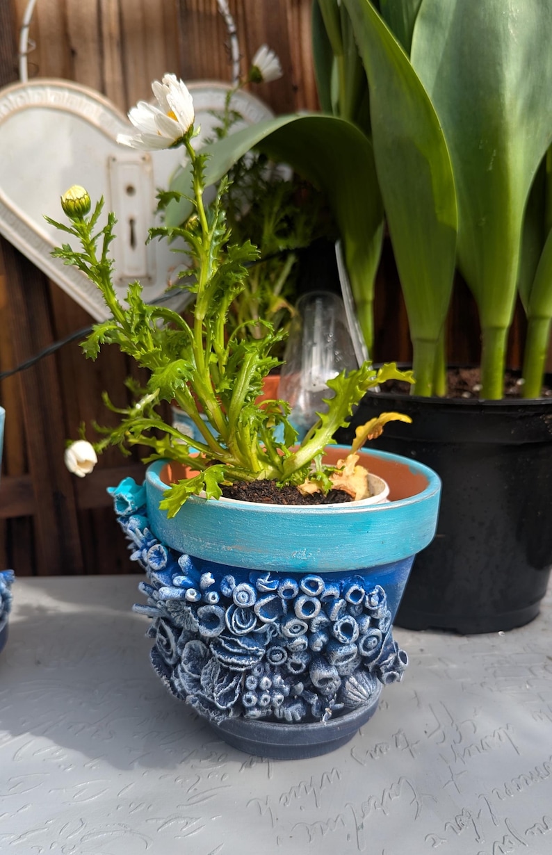 Pu&ograve; includere: Un fiore bianco con foglie verdi che cresce in un vaso di ceramica blu e bianco con un design testurizzato. Il vaso &egrave; decorato con conchiglie blu e bianche.