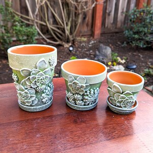 May include: Set of three green ceramic flower pots with succulent designs. The pots vary in size, with an orange interior and matching saucers. The pots are arranged on a wooden surface, ideal for planting succulents or small plants.