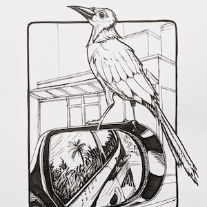 Original Drawings & Commissions