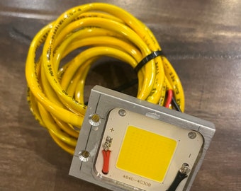 Flounder gigging light 50w warm white