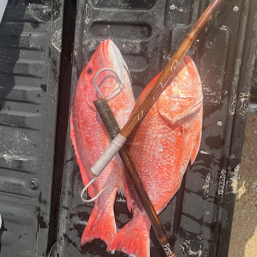 Red Snapper Fishing Rig