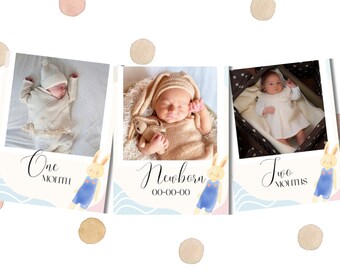 Some Bunny is One Monthly Photo Banner