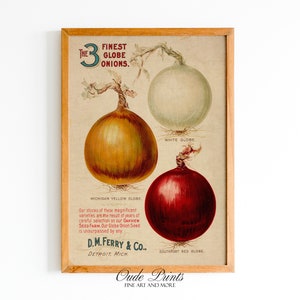 Onion Catalog Cover 1920&#39;s | Vegetable Seed Poster Kitchen Printable | 20th Century Wall Art Digital Download