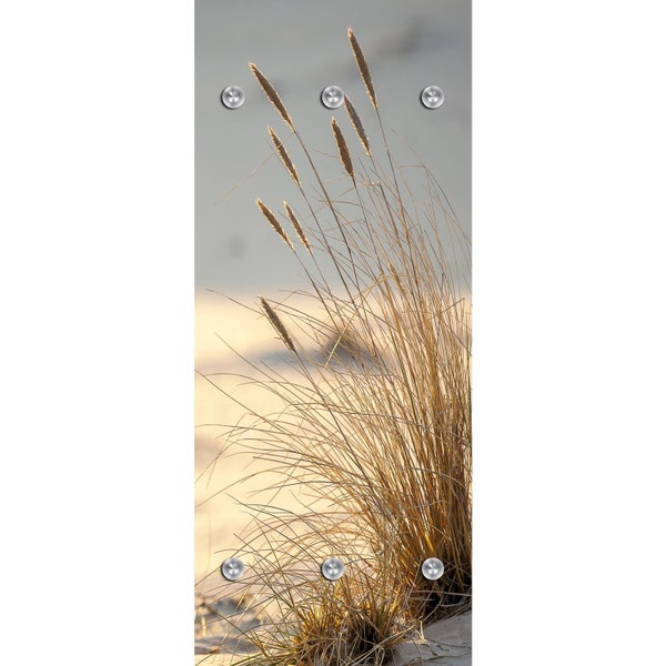 Wandgarderobe Gräser am Strand 50x120cm - Sand, Dünen - Garderobe aus hochwertigem Acrylglas, mit Edelstahlhaken