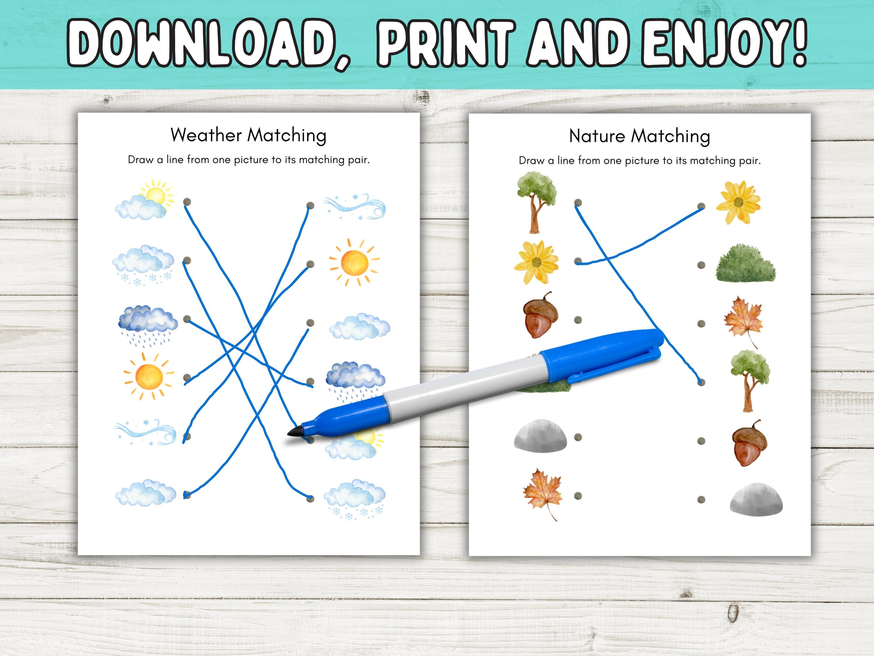 Printable Matching Worksheets, Match the Picture, Homeschool Resources ...