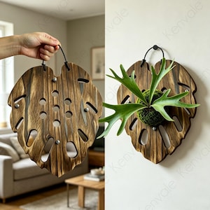 Könnte beinhalten: Eine dunkelbraune Wandhalterung aus Holz in Form eines großen Monstera-Blattes mit Aussparungen und einer schwarzen Aufhängeschnur. Die Halterung hat eine zentrale kreisförmige Anordnung von Löchern und silbernen Beschlägen, leer und mit Farn.