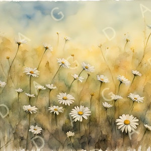 Stampa artistica margherite, sfondo giallo, alta definizione, alta risoluzione, colori soft, acquerello, fiori, DOWNLOAD DIGITALE