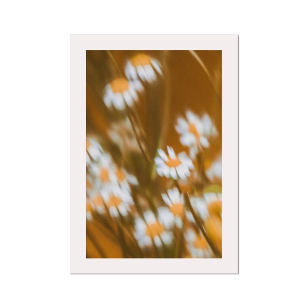 Autumn Haze Daisies Photograph - Ethereal Floral Wall Art, Golden Light Dreamy Decor, Tranquil Nature Print