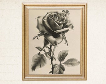 Elegante stampa con disegno a matita di rose in bianco e nero, arte da parete botanica, decorazione floreale per la casa, arte digitale stampabile