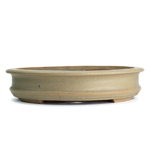 May include: An oval-shaped, light green ceramic bonsai pot. The pot has a wide, shallow design with a slightly raised rim and a series of decorative grooves around the sides. The pot is approximately 12 inches long.